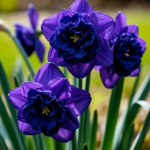 Нарцисс Арт Нуво купить по цене от 378р. в интернет-магазине «Посадика» с доставкой почтой в в Москве и по всей России – [изображение №1].